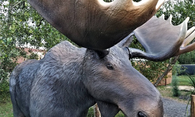 Dade City House | ★Moose Haven Cabin★ Garden & Hiking Trail ★