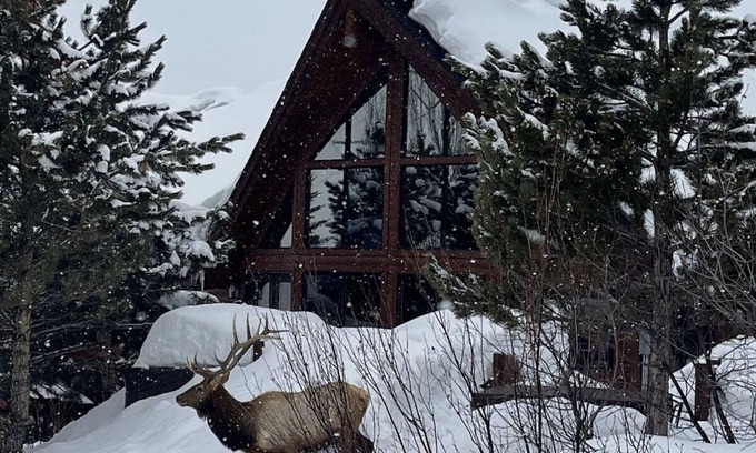 Steamboat Springs House | Moose Meadows Lodge - Amazing Views, Great Room, Game Room, Theater, Garage
