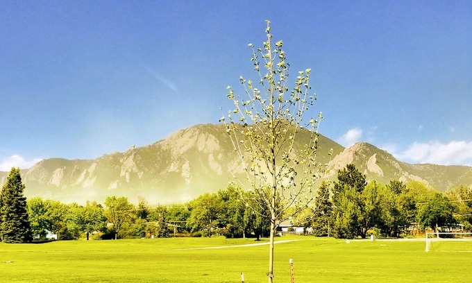 Martin Acres Condo | Mountain Access and close to CU Campus