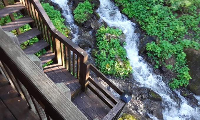Roan Mountain Cabin | Mountain cabin with 3600 plus high elevation with Creek and waterfall frontage