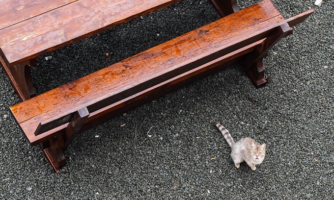 Mrkopalj Cabin | Mountain lodge Bijele stijene (Planinarski dom)