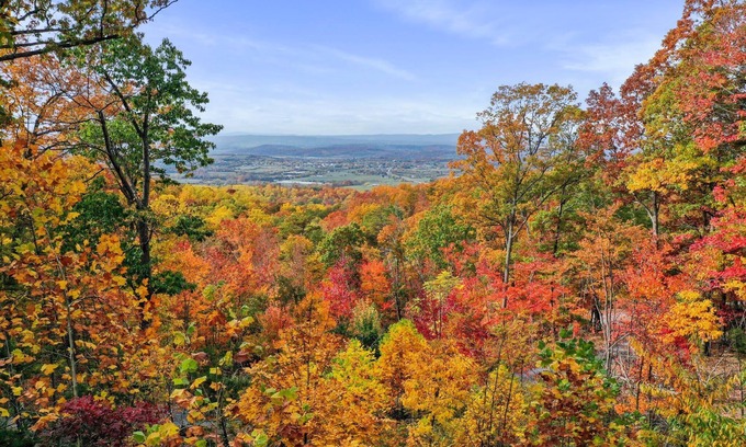 New Market Cabin | Mountain View Cabin~HotTub~Fireplace~King Bed
