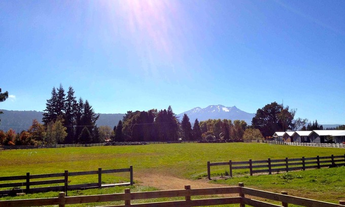 Ohakune Cottage | Mountain View - Ohakune Holiday Home