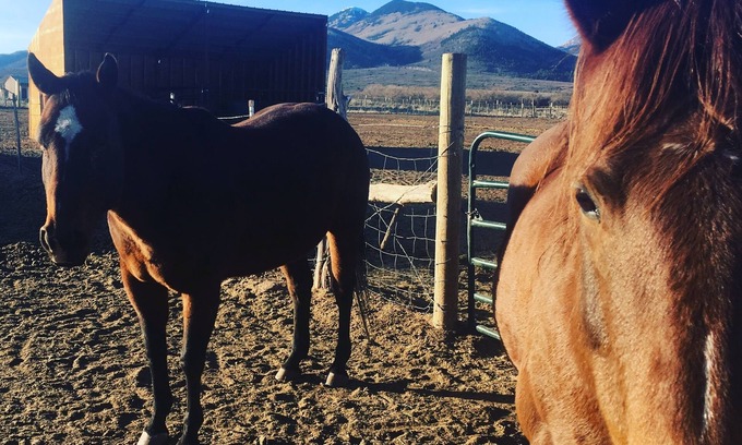 La Sal Cabin | Mt. Peale Cabin #2 Near Moab, UT