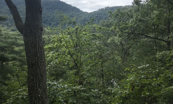 Weaverville House | Mtn. Getaway- New Hot Tub! Close the Blue Ridge Pkwy (1)