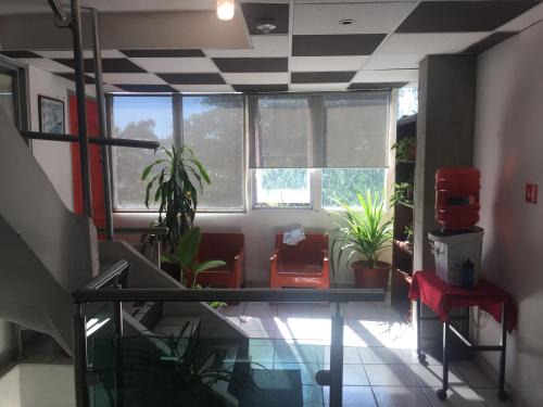 Downtown Culiacan Hotel | My Suite Ejecutiva