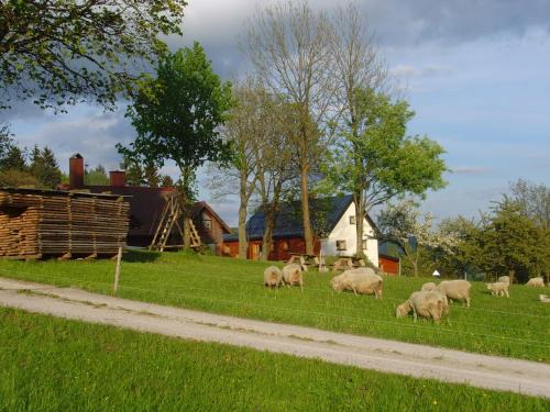 Paseky nad Jizerou House | Na Zvonici