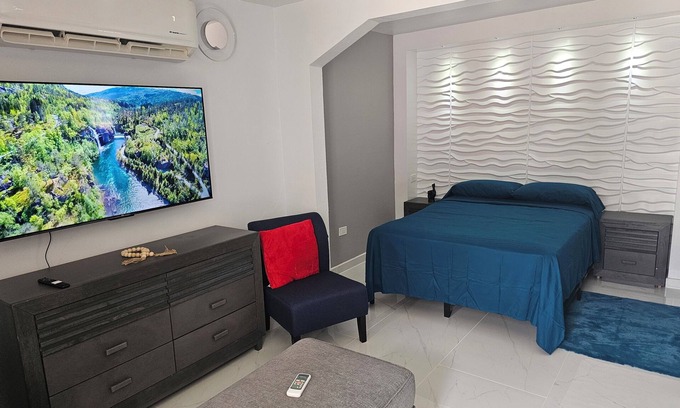 Mayaguez Pueblo Apartment | Nala's studio in delightful Mayagüez with AC, WiFi, free parking.