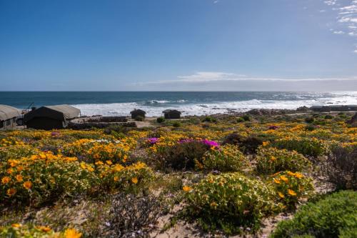 Kamiesberg Other | Namaqua Flowers Beach Camp
