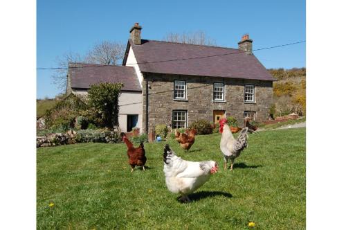 Llandysul House | Nantgwynfaen Organic Farm Wales