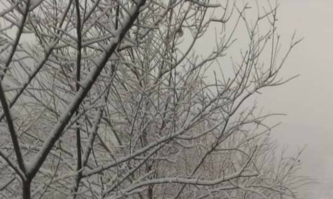 Jianshi House | Nasun bed and breakfast