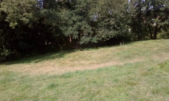 Saint-Cyr-des-Gats Cabin | Nature and tranquility pods.