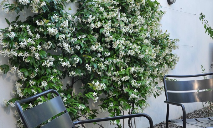 Navigli Apartment | NAVIGLI LOFT with private GARDEN