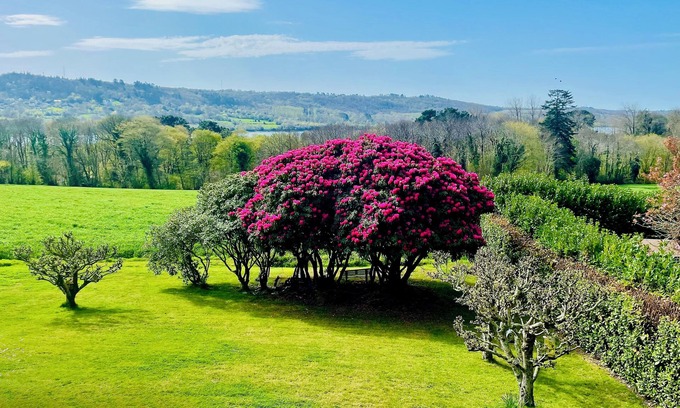La Forest-Landerneau Apartment | Near Brest quiet 2 Bedroom apartment with view