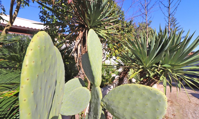 Otranto House | Negroamaro House Torre Santo Stefano Otranto