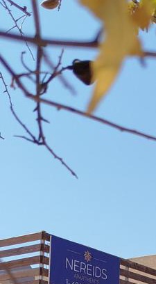 Messini Apartment | Nereids Apartments-Pronoe