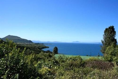 Pukawa House | Nestled Atop the Lane - Pukawa Bay Holiday Home
