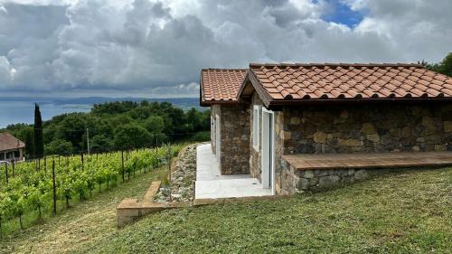 Gradoli House | NEW! Apartment immersed in a vineyard