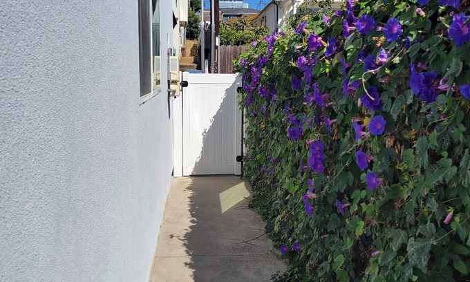 Bay Park Apartment | New, chic, large, safe, and convenient studio near the San Diego Bay w/AC, WiFi
