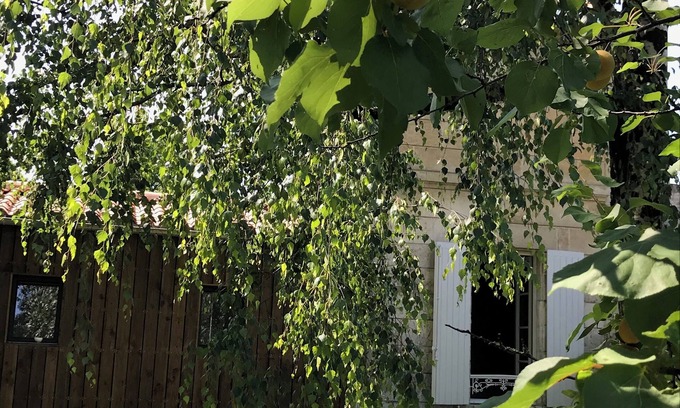 Centre Ville House | New L'horizon gîte in an exceptional town location. Free parking