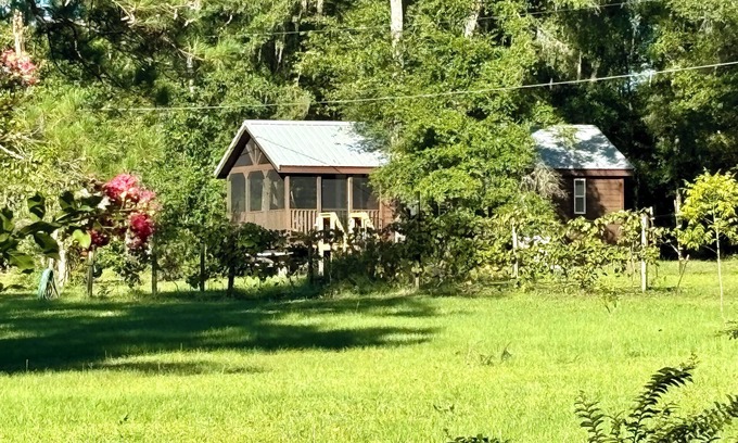 Tallahassee Cabin | New Lakeside Cabin in Tallahassee, secluded & near town