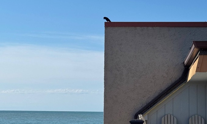 Ocean Isle Beach Condo | NEW LISTING-NEVER RENTED BEFORE- 2 br 1.5 ba direct ocean front condo with community pool