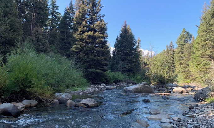 Gardiner House | NEW! On Bear Creek~ Treed Seclusion~ Serene~ 4 Living Rooms~ 4 Miles to Gardiner