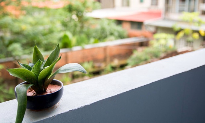 Guanxi House | Nice Guanxi