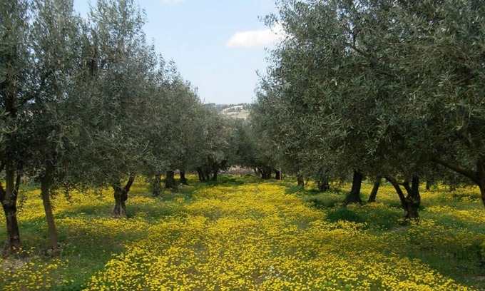 Nyons Apartment | Nice studio in the city center - Nyons