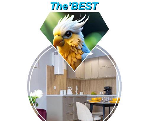 Kudowa Zdroj Apartment | NIMFa THE BEST 10 and LUNCH