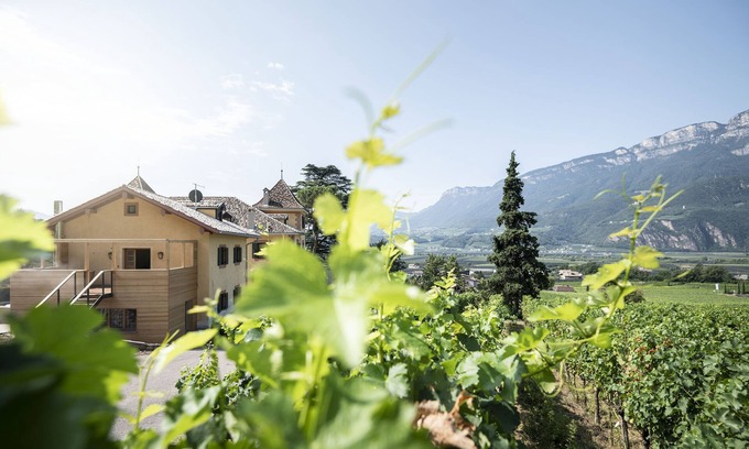 Terlano Apartment | Noble loft in the vineyards