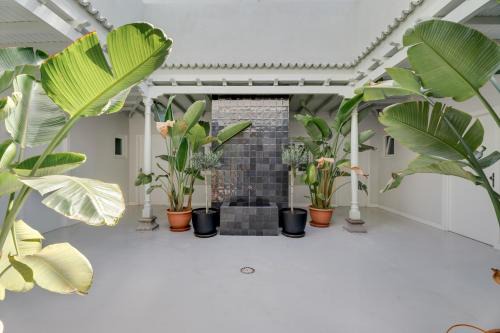 Santa Cruz de Tenerife House | Nomad Hub Tenerife