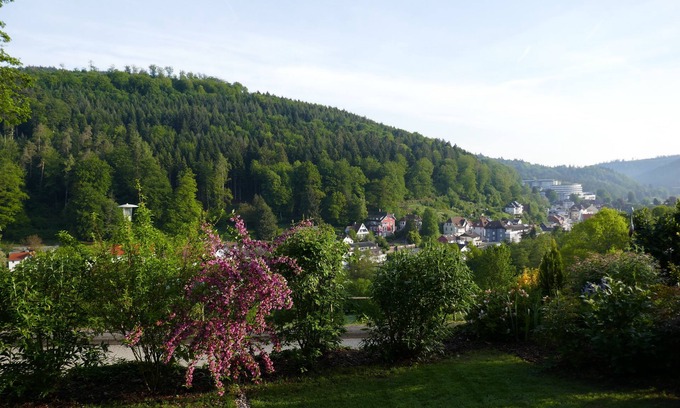 Bad Herrenalb Apartment | Not at home and yet at home