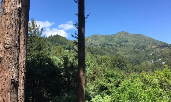 Mill Valley House | Now available! Beautiful Spacious, Private Mill Valley Home. Stunning view!