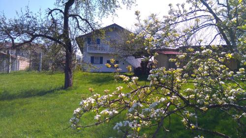 Seeon-Seebruck Apartment | Obstgartenferien