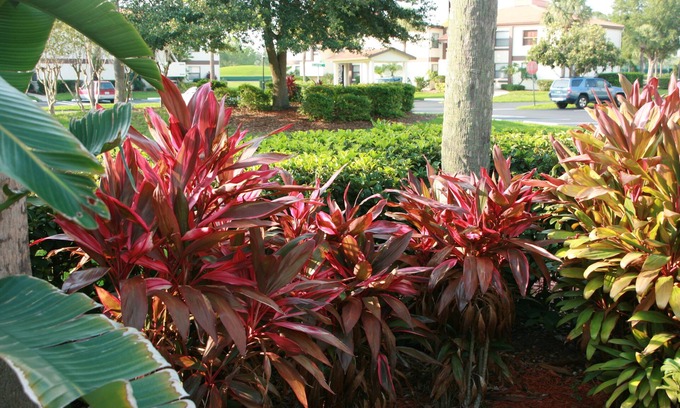 Ventura Condo | Oct 15-27 OPEN. Sunny, Quiet .Main floor ,Gated, WiFi-GOLF-pools,-Parks 30 min