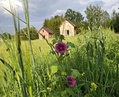 Szypliszki House | Odpocznij u Ani