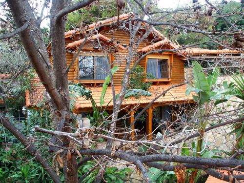 Amirim Apartment | Ohn-Bar Guesthouse