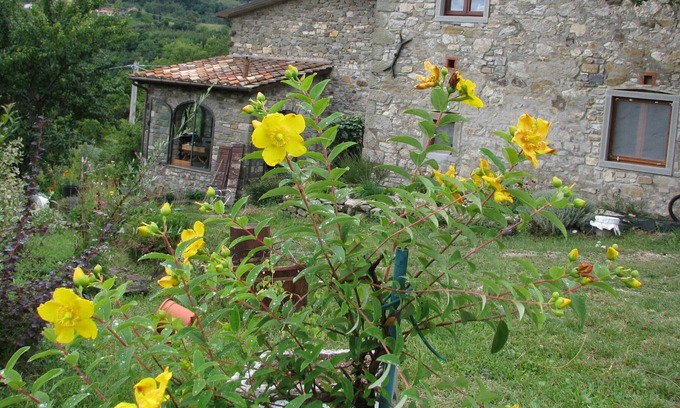 Caprese Michelangelo House | Old restored stone barn, with private pool and valley views