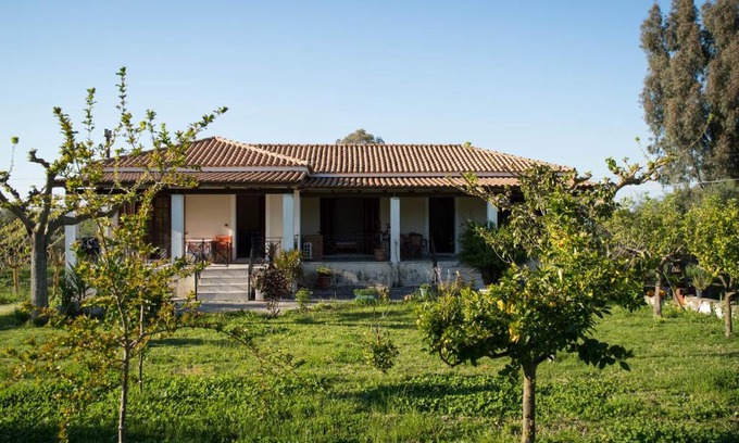 Agia Marina Apartment | Olive Grove Zakynthos