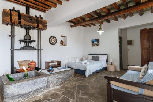 Andros Town Apartment | Olive Guesthouse Junior