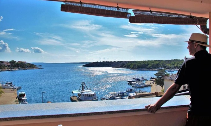 Simuni House | Olive House