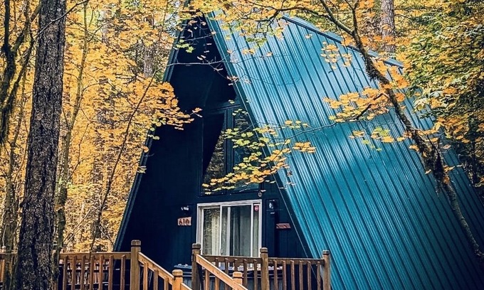 Hoodsport Cabin | Olympic A-Frame - Close to Olympic NP, lake access
