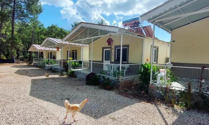 Olympos Apartment | OLYMPOS YÖRÜK OTAĞI APART EVLERİ