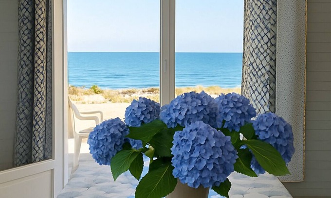 Vieux-Boucau-les-Bains Villa | On the beach, facing the sea, exceptional view of the sea and forest for 8 people