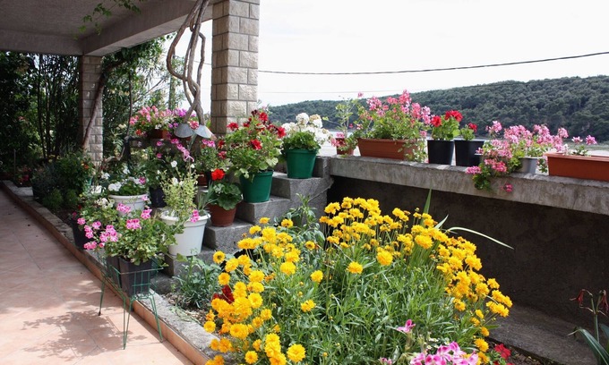 Suha Punta Apartment | One bedroom apartment with terrace and sea view Kampor, Rab (A-4984-b)