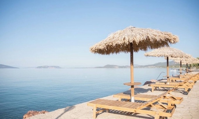 Plepi Apartment | One-Bedroom Apartment with Sea Views and Olive Grove Serenity for Up to 4 Guests