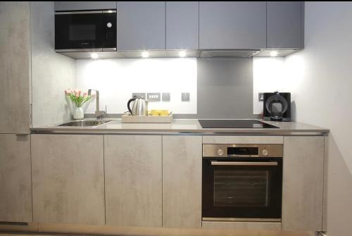 Luton Apartment | One-bedroom manitri apartment
