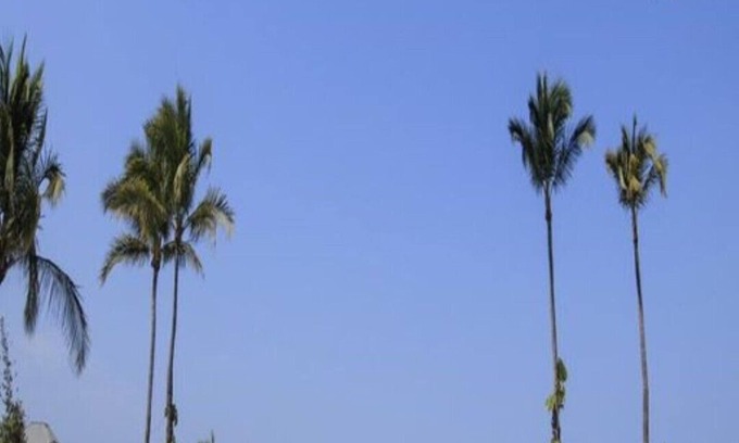 Marina Vallarta Condo | One Bedroom Suite- Ocean view