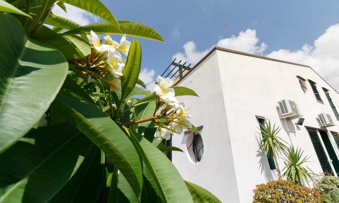 Piane Vecchie House | Orto di Santo